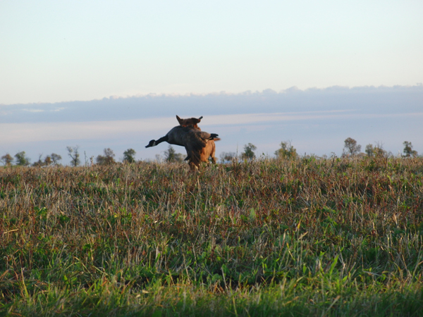 httpswww.outdoorlife.comsitesoutdoorlife.comfilesimport2014importImage2010photo1001321579Manitoba22.jpg