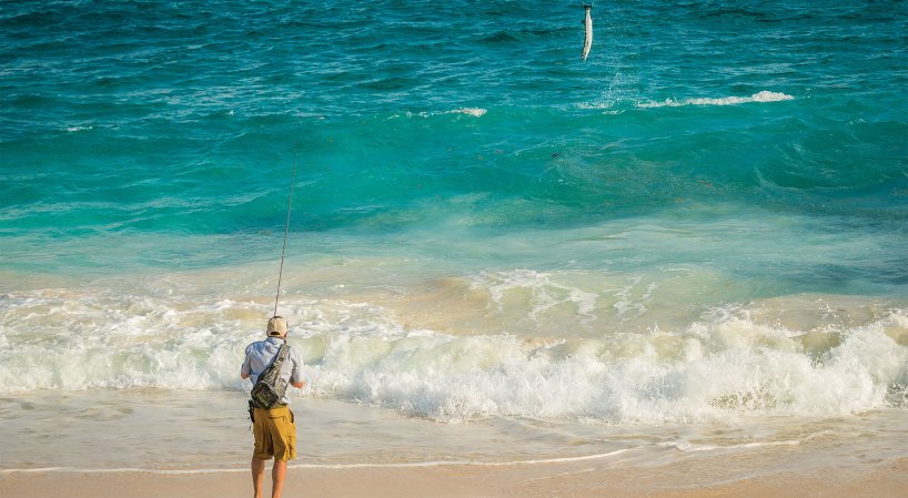 barracuda fishing punta pajaros flats