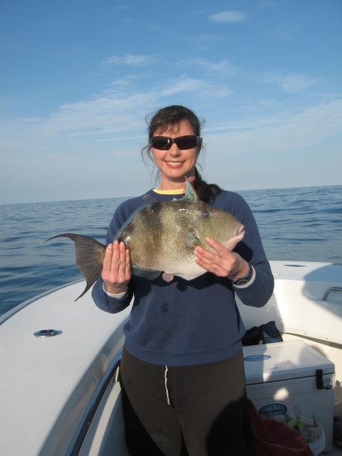 httpswww.outdoorlife.comsitesoutdoorlife.comfilesimport2014importImage2009photo3Dr.JulieBallCitationTriggerfish_0.JPG