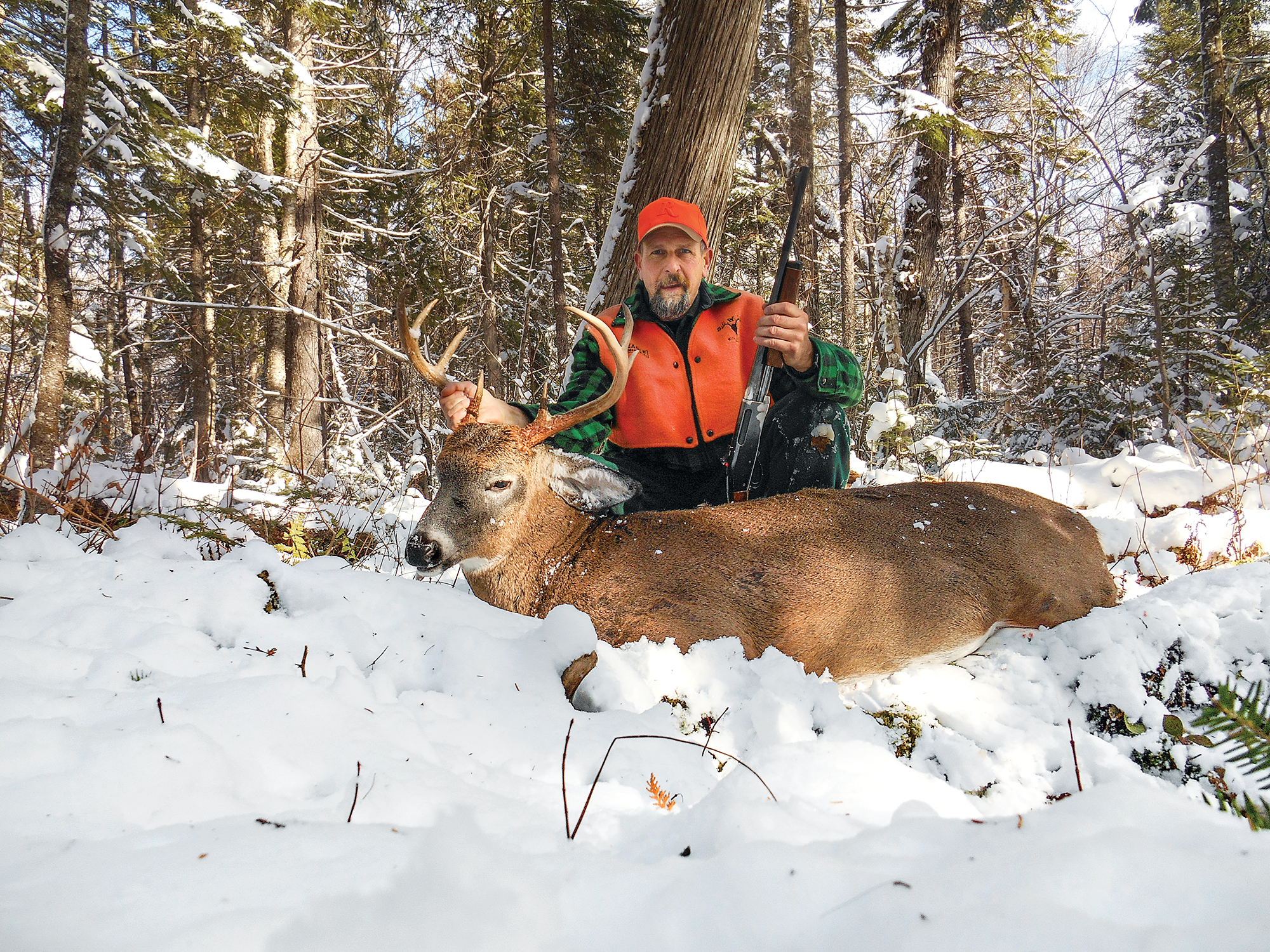 tracking deer