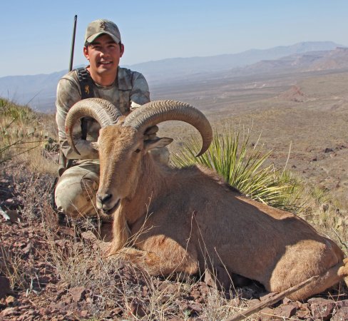 aoudad hunt