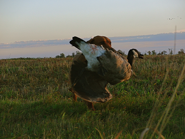 httpswww.outdoorlife.comsitesoutdoorlife.comfilesimport2014importImage2010photo1001321579Manitoba23.jpg