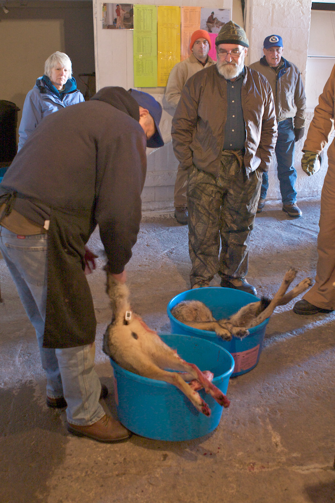 httpswww.outdoorlife.comsitesoutdoorlife.comfilesimport2014importImage2011photo30010Coyote_Hunt_14.jpg