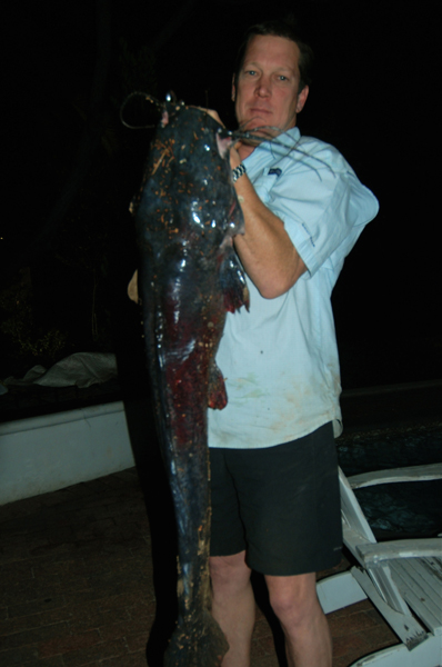 httpswww.outdoorlife.comsitesoutdoorlife.comfilesimport2013images2010123_sharptooth_catfish_-_36367_0.jpg