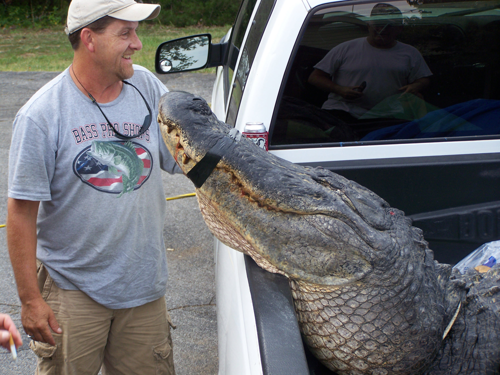 httpswww.outdoorlife.comsitesoutdoorlife.comfilesimport2014importImage2011photo10013215791_al_gator2.jpg