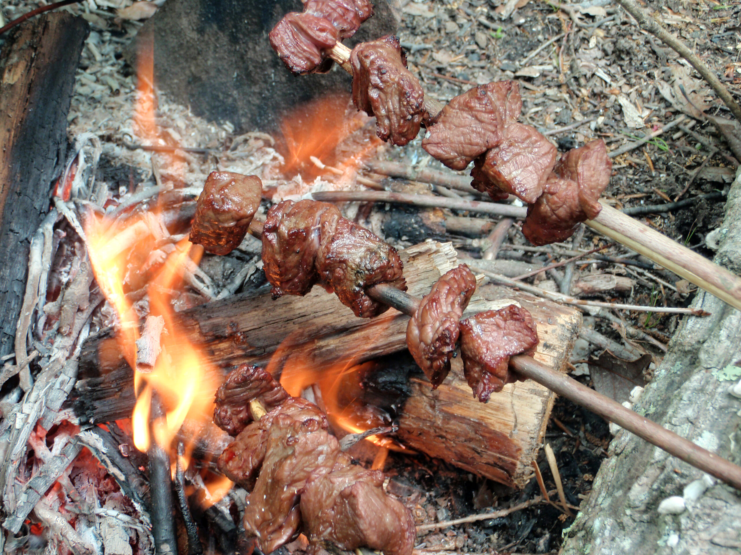 How to cook on a fire. Fire food. Вертел.