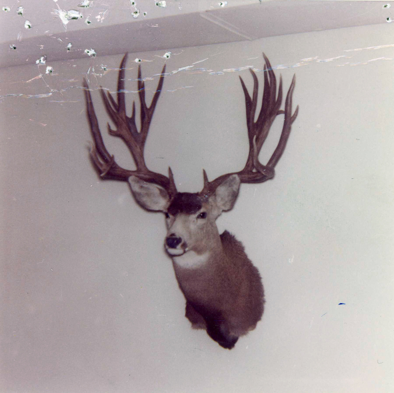 Boone & Crockett Club record mule deer