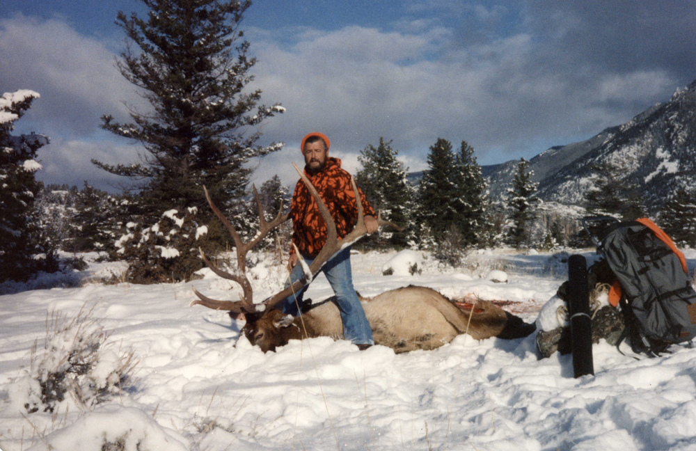 #13 Typical Bull Elk