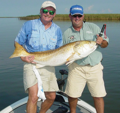 httpswww.outdoorlife.comsitesoutdoorlife.comfilesimport2014importImage2008legacyoutdoorlifebob_mcnally_redfish_9.jpg