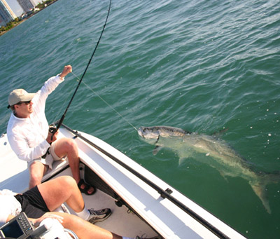 httpswww.outdoorlife.comsitesoutdoorlife.comfilesimport2014importImage2009photo3miami4.jpg