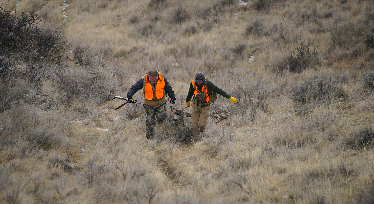 public land hunting