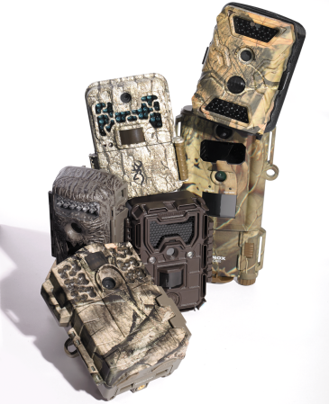 Gear Test: 6 Budget Trail Cameras