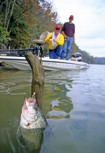 httpswww.outdoorlife.comsitesoutdoorlife.comfilesimport2014importImage2008legacyoutdoorlifecrappie_fall_001.jpg