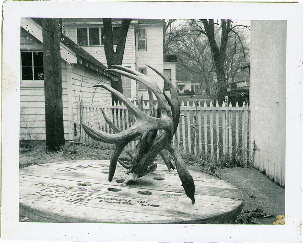 waters kansas buck