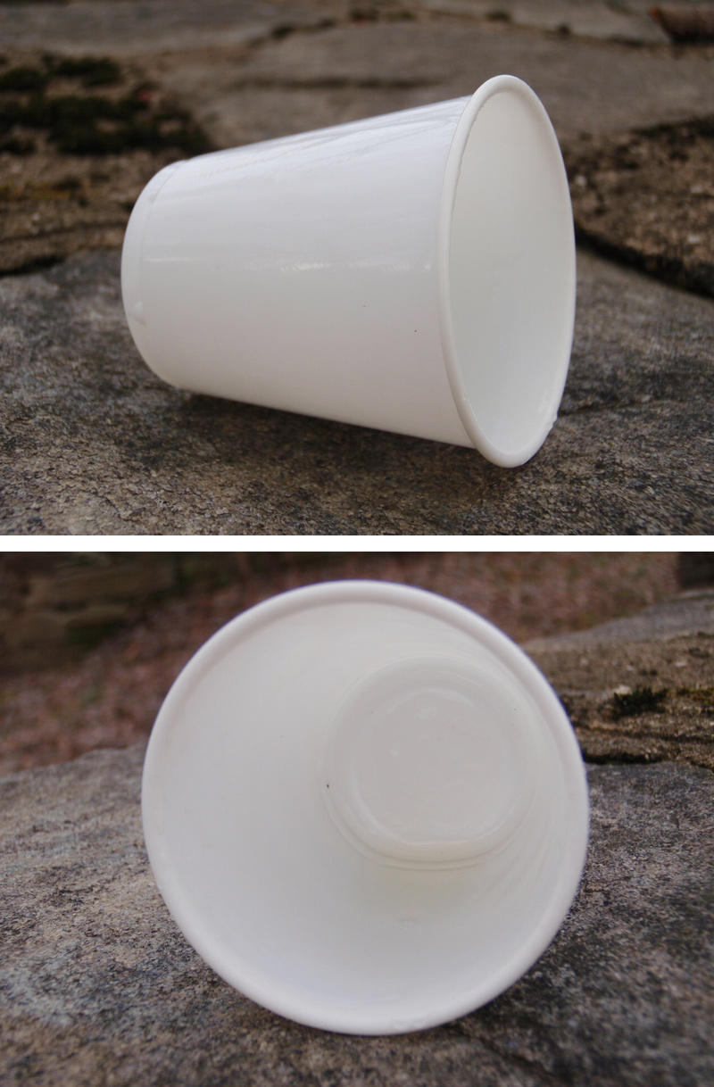 Pine Pitch Bird Cup Trap for survival situations