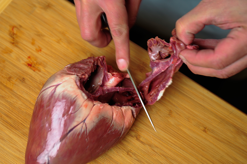 trimming deer heart