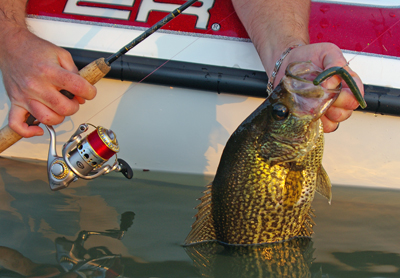 httpswww.outdoorlife.comsitesoutdoorlife.comfilesimport2014importImage2008legacyoutdoorlifecrappie_fall_009.JPG