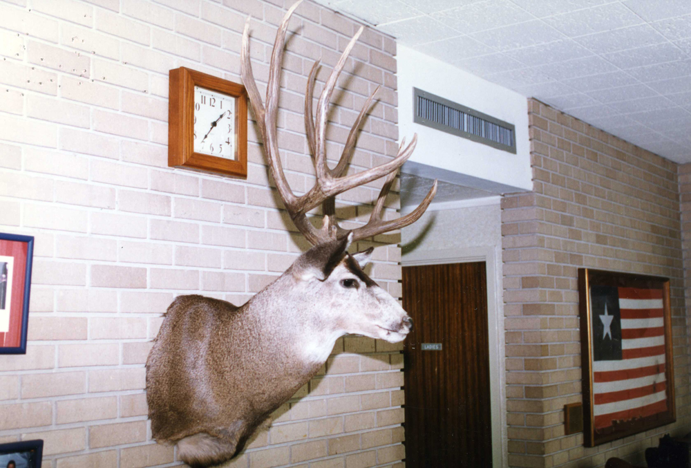 Boone & Crockett Club record mule deer