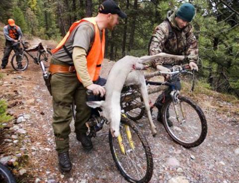 Buddies with bikes.