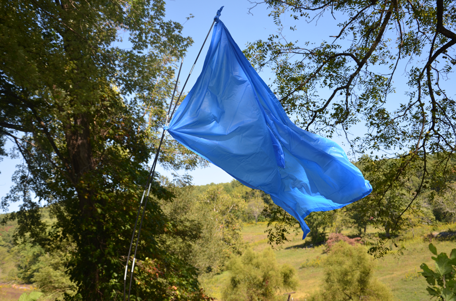 Signal flag