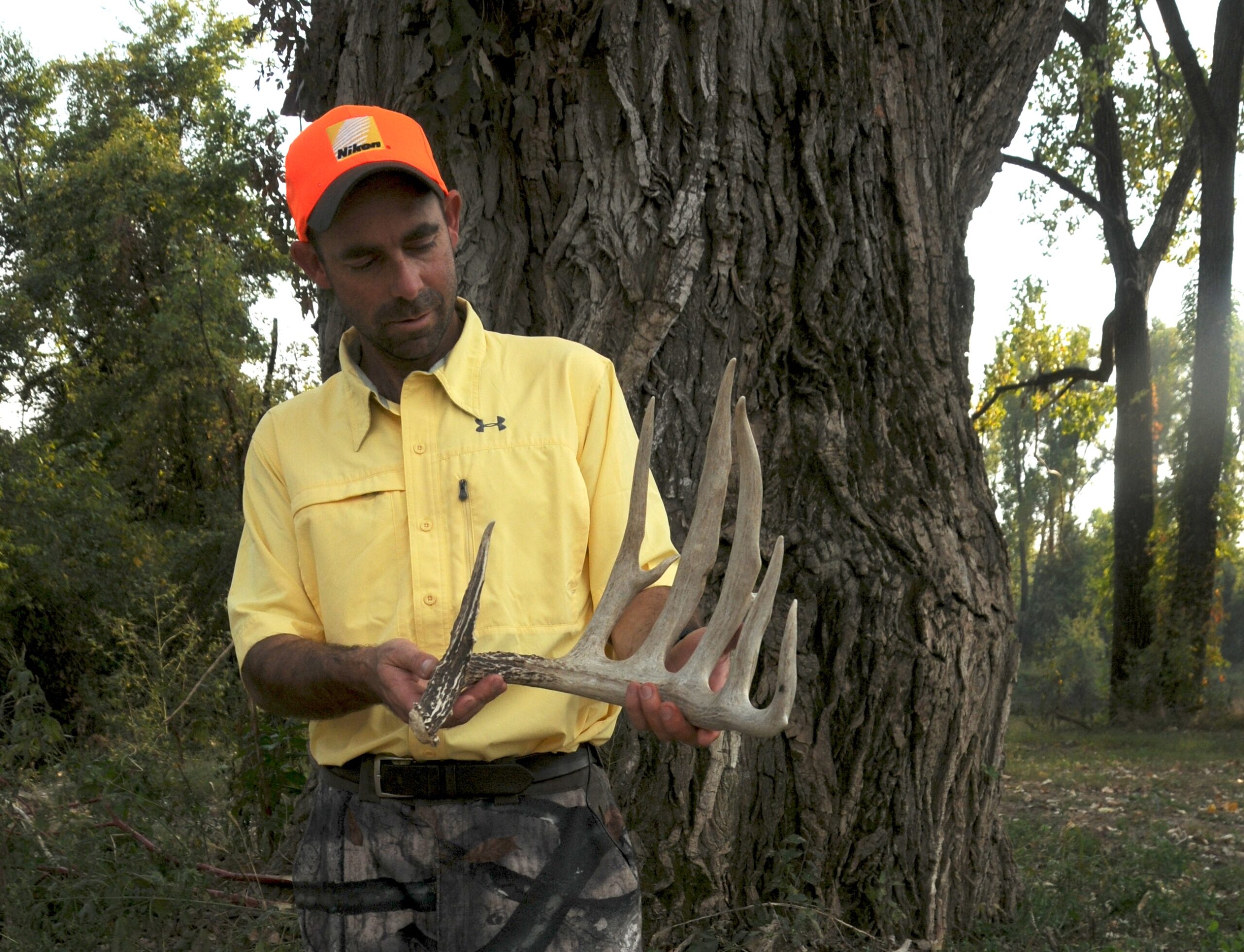 World Record Whitetail