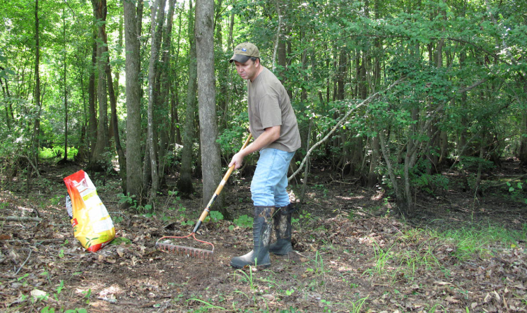 Deer Hunting: The Food Plot Deadline is Approaching