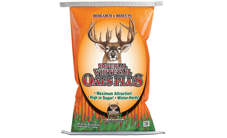 The Cheapest Food Plot You’ll Ever Plant
