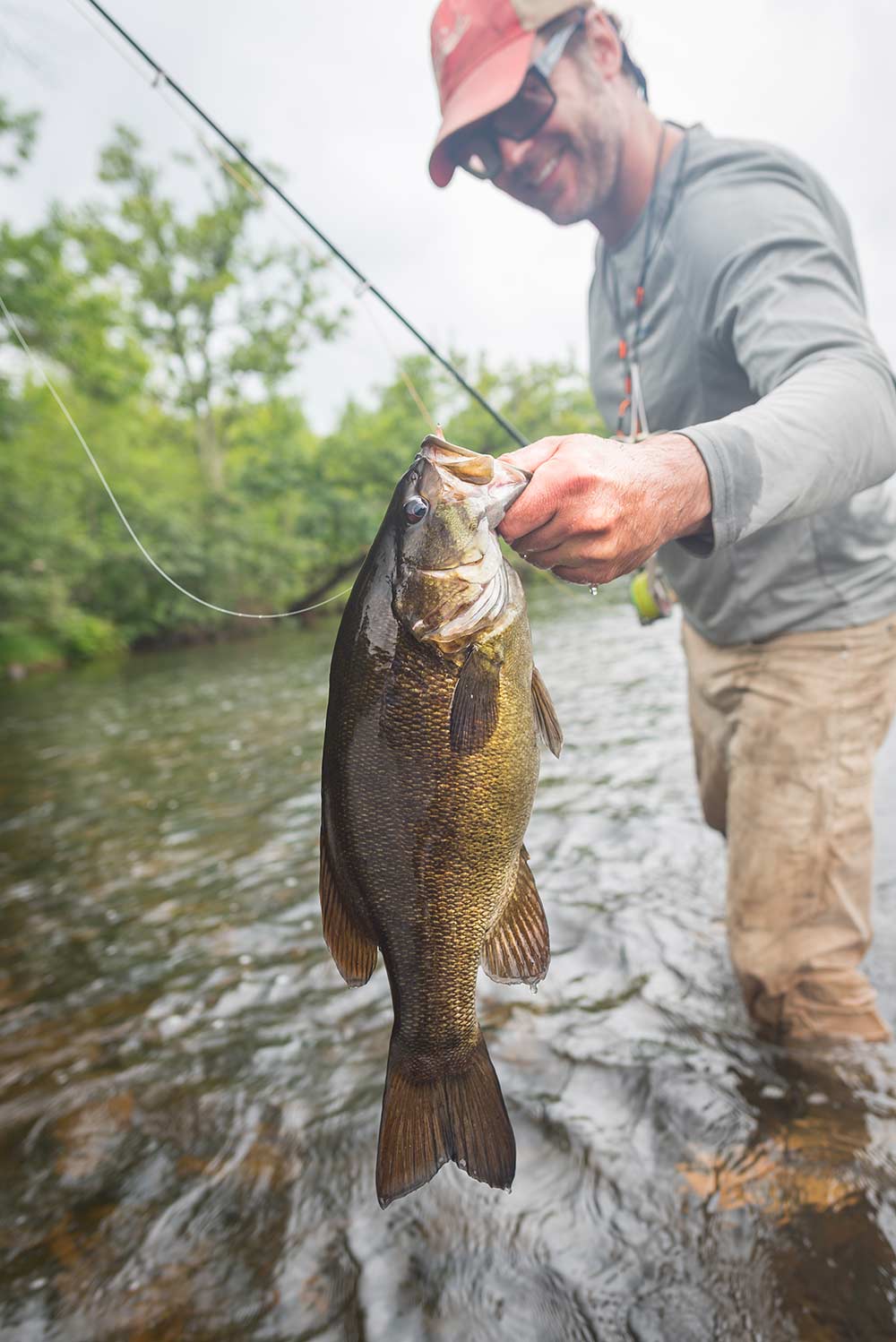 smallmouth bronzeback bass