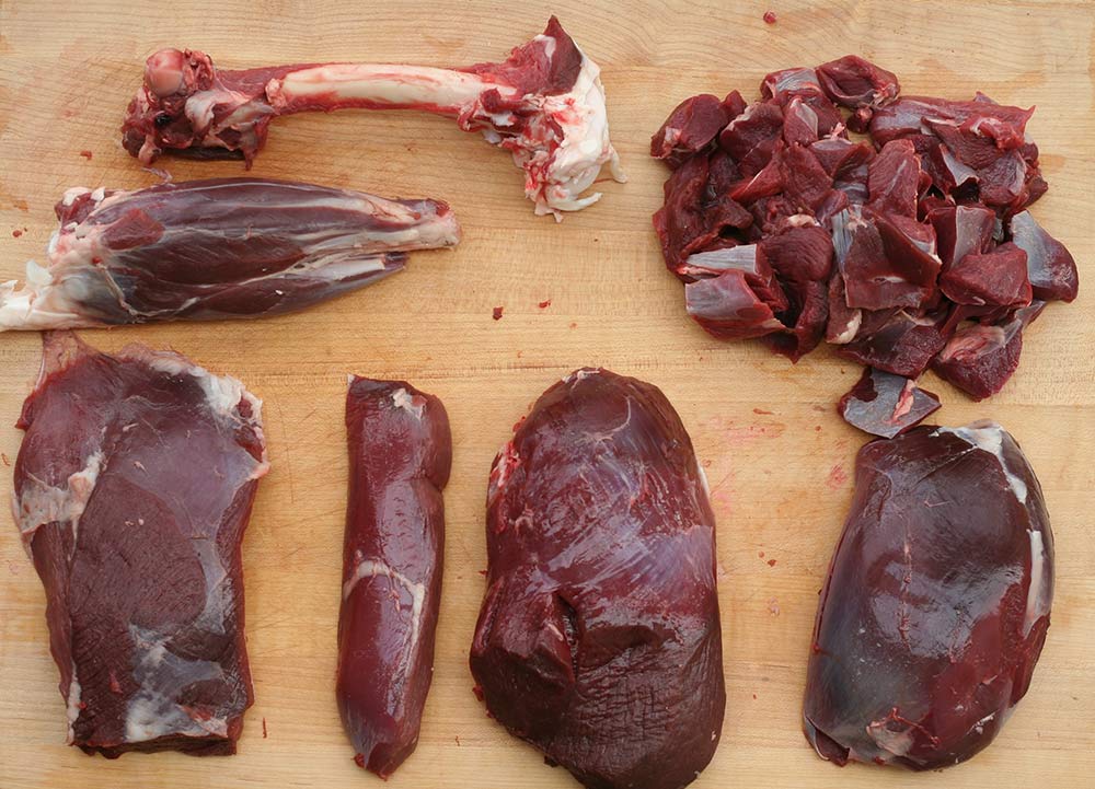 Venison Backstrap Grilling Tips from a Professional Chef