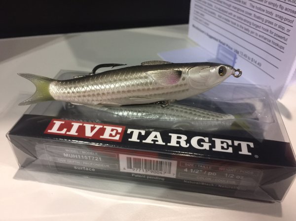 Live Target Hollow Body Mullet