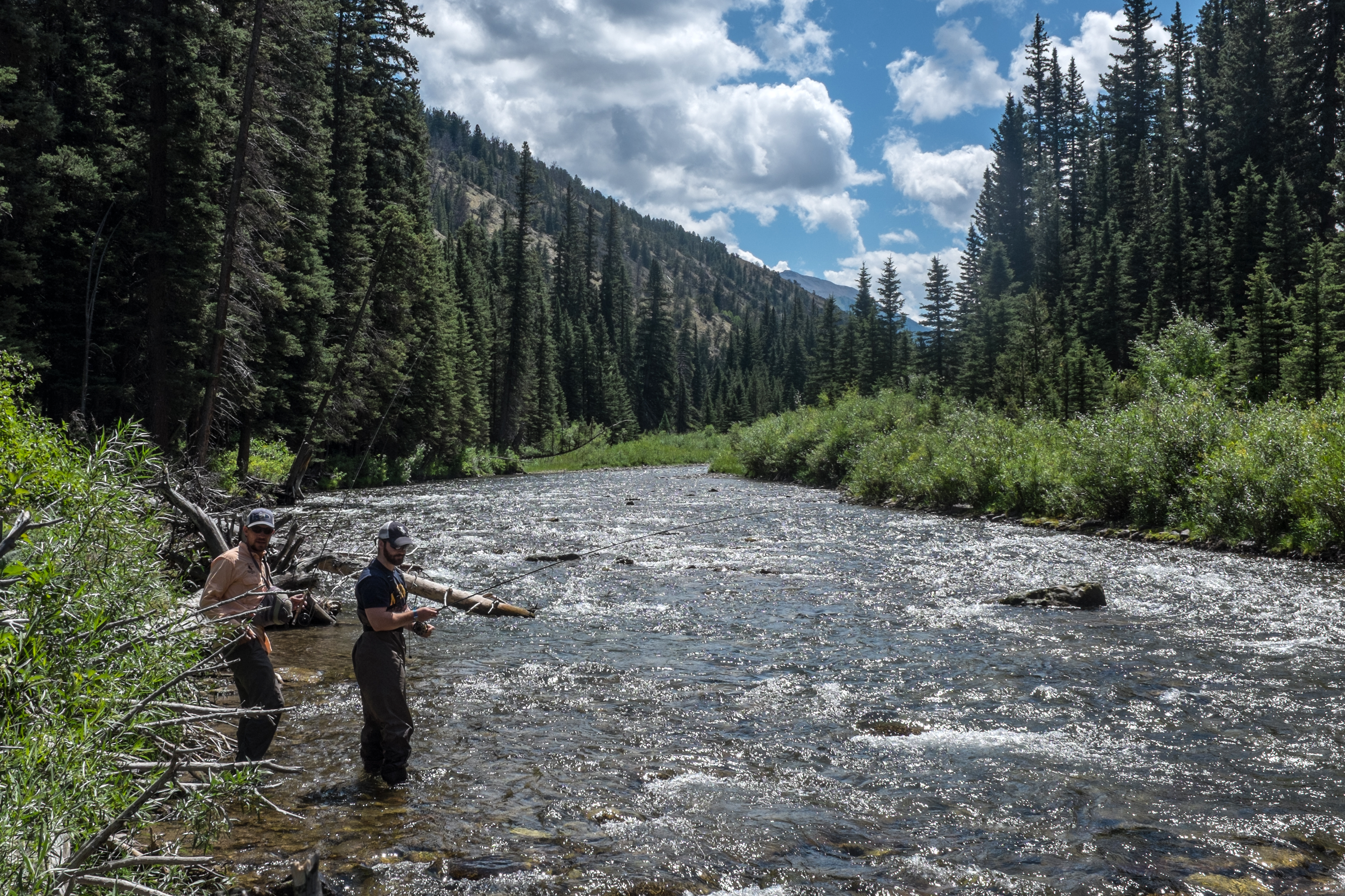 Fishing for Brown Trout and Steelhead on the High and Mighty