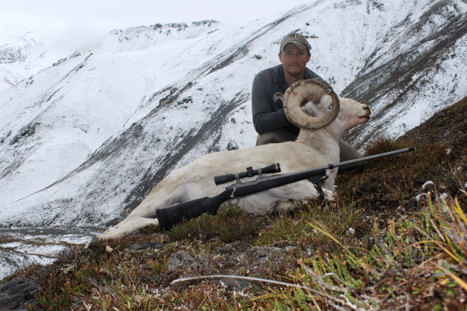 rifle sheep