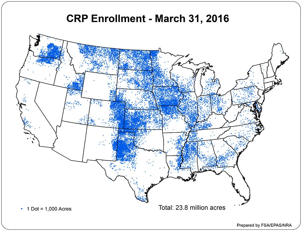 graph showing CRP enrollment