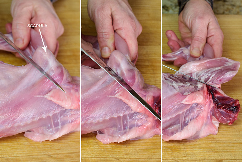 how to butcher a rabbit