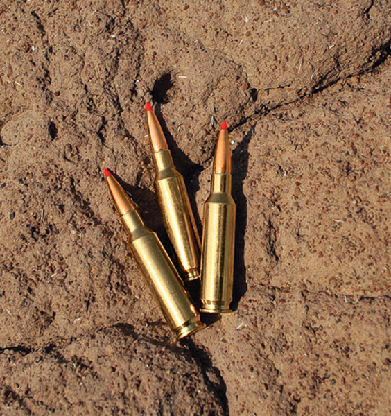 httpswww.outdoorlife.comsitesoutdoorlife.comfilesimport2014importImage2012photo1001321579bullets.jpg