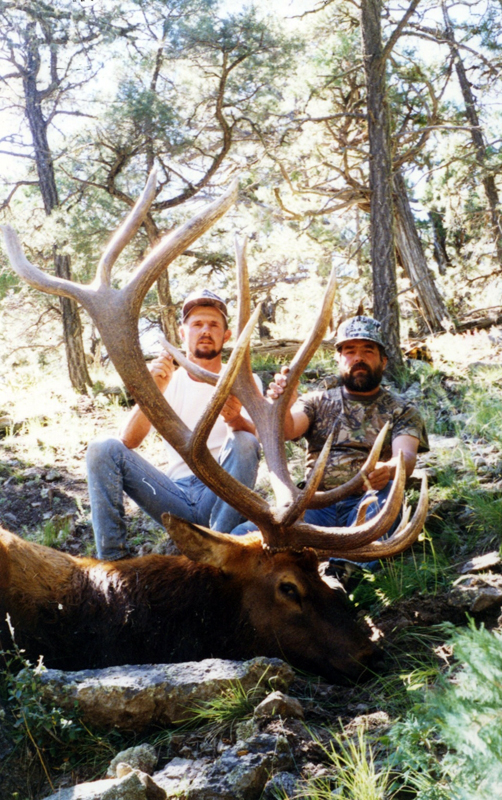 19 nontypical bull elk