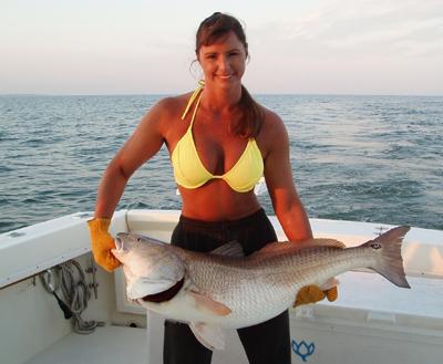 httpswww.outdoorlife.comsitesoutdoorlife.comfilesimport2014importImage2009photo3ball_redfish.jpg