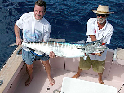 Nothing strikes fear in the hearts of offshore anglers like a wild wahoo loose on the deck.