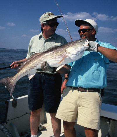 httpswww.outdoorlife.comsitesoutdoorlife.comfilesimport2014importImage2008legacyoutdoorlifebob_mcnally_redfish_6.jpg