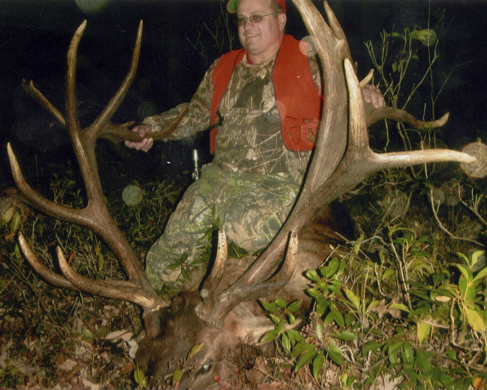 11 nontypical bull elk