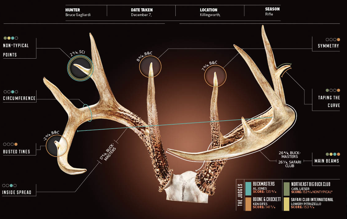 How to Score Deer Antlers (with Pictures) - wikiHow