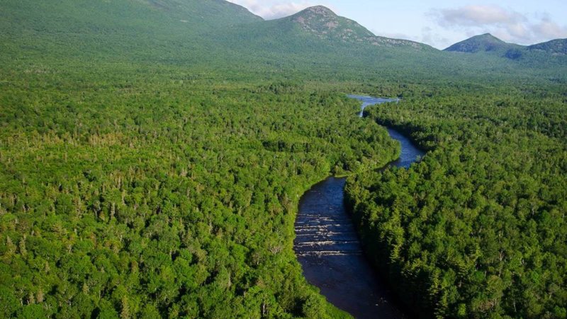 East Branch Penobscot Katahdin stream woods