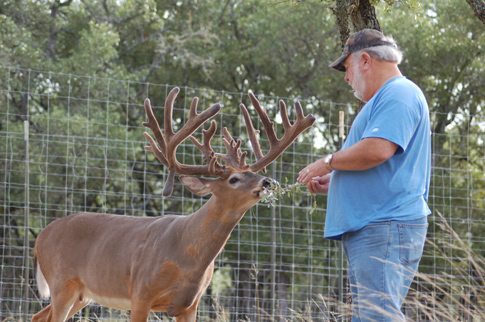 giant high fence buck