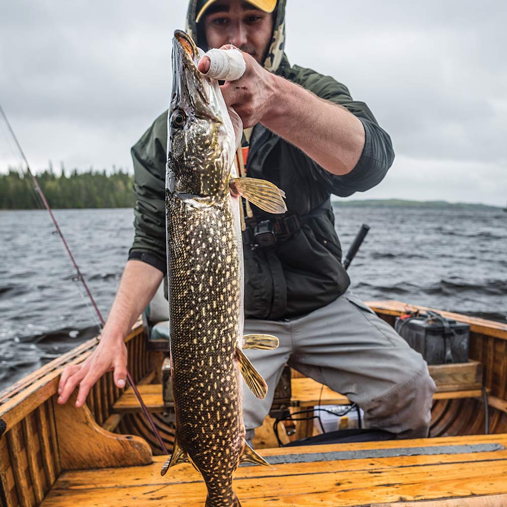 northern pike fishing