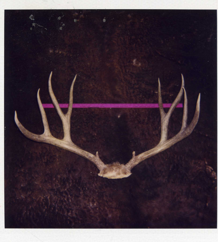 Boone & Crockett Club record mule deer