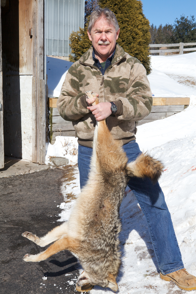 httpswww.outdoorlife.comsitesoutdoorlife.comfilesimport2013images201102Coyote_Hunt_06_0.jpg