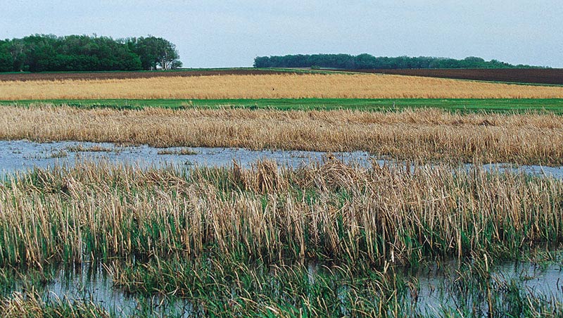 south dakota wetlands