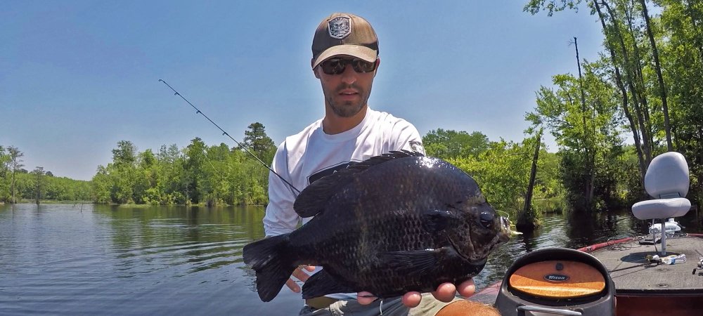 angler with a bluegill