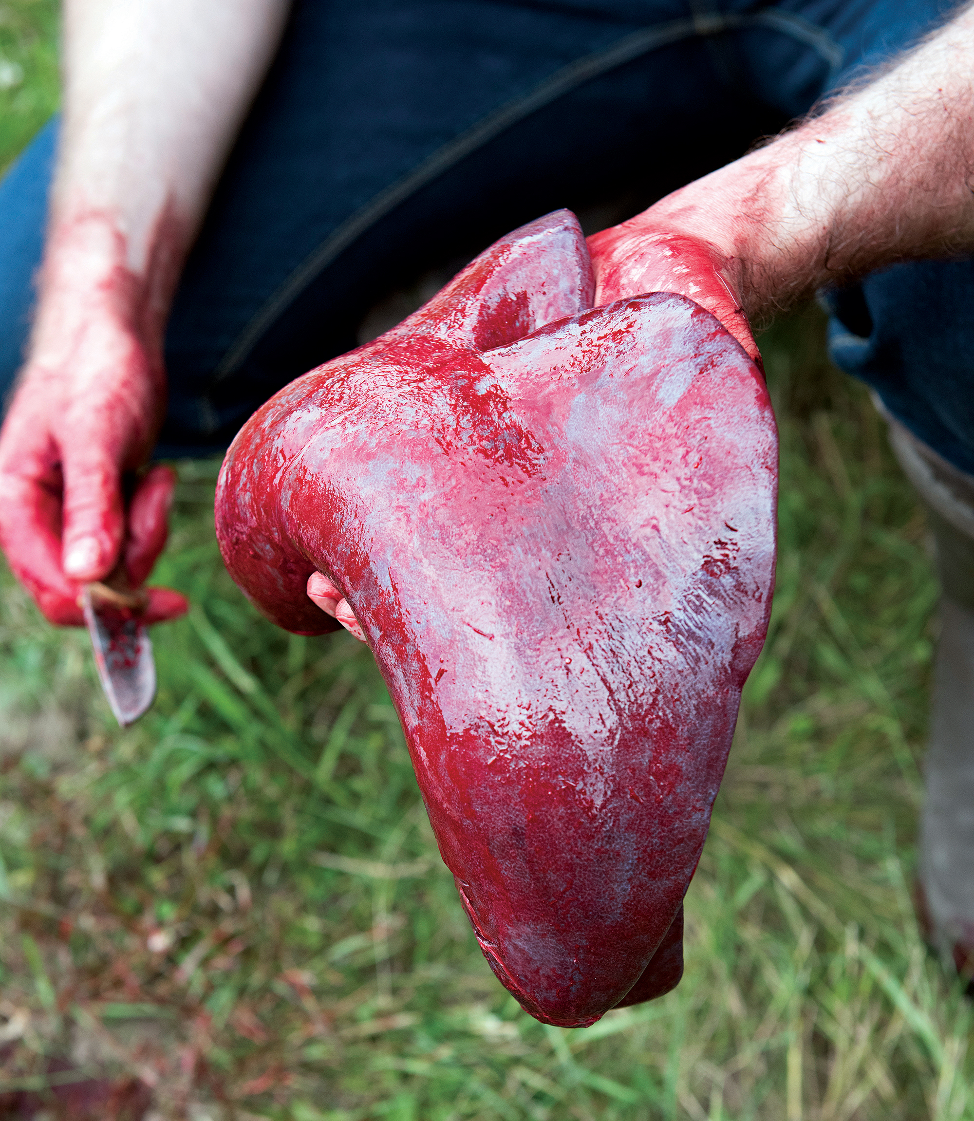 fresh venison liver