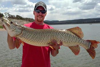 State Record Tiger Muskie Caught in  New Mexico?